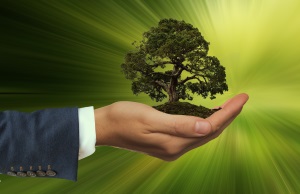 Sustainable Finance – Nachhaltigkeit in der Finanzbranche
